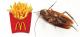 Health Inspector Finds Roaches At McDonalds!